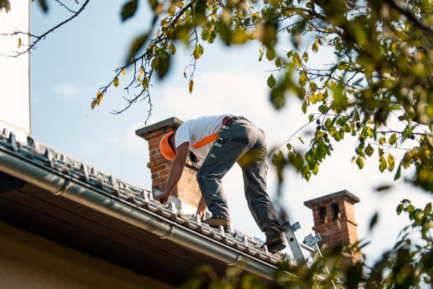 Best Residential Roofing Contractor  in Plainwell, MI