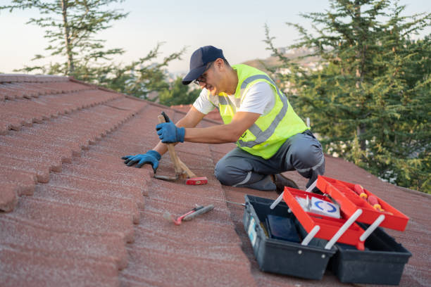 Best Roof Gutter Cleaning  in Plainwell, MI
