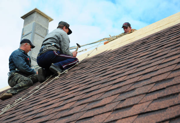 Trusted Plainwell, MI Roofing Contractor Experts